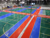 Painting multiple courts