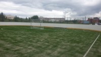 Новгородская область, УСП, искуственная трава Edel Grass LSR 20 , 28х56м, 2015