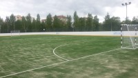 Новгородская область, УСП, искуственная трава Edel Grass LSR 20 , 28х56м, 2015