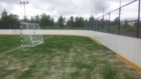 Новгородская область, УСП, искуственная трава Edel Grass LSR 20 , 28х56м, 2015