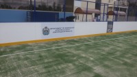 Новгородская область, УСП, искуственная трава Edel Grass LSR 20 , 28х56м, 2015