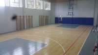IL Shapira Center Tel Aviv Response HG 2016
