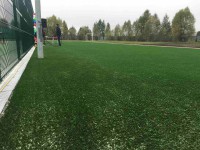 Альметьевск п.Завод Трава CondorGrass Playgrass20 450м2 2017