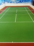 Самарская область, с.Богдановка, хард на резине Casali Confosport, 30х15м, 2018